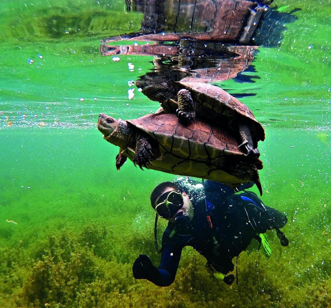 Villa Tranquila Lagunas De Ruidera オッサ・デ・モンティエル エクステリア 写真