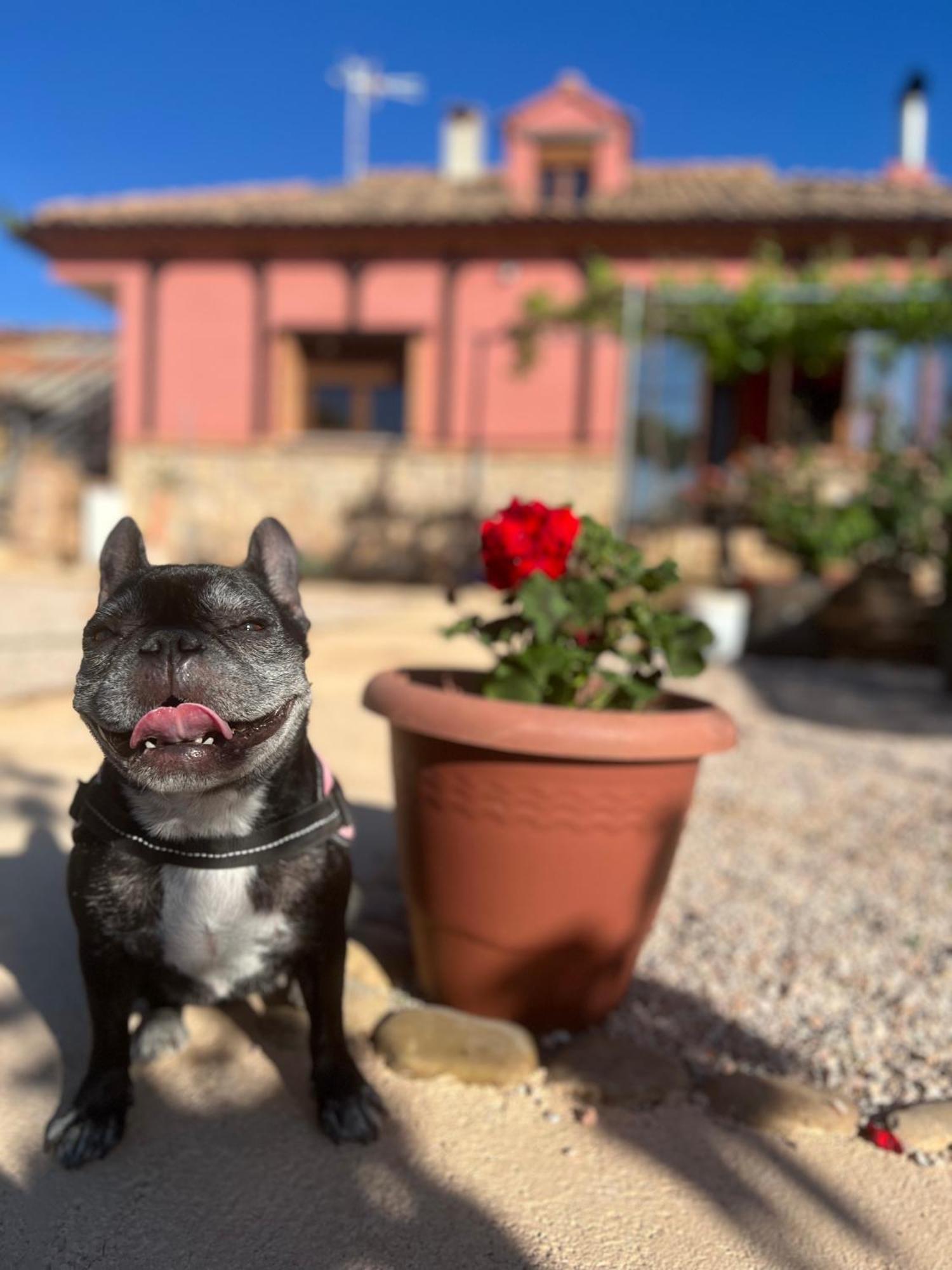 Villa Tranquila Lagunas De Ruidera オッサ・デ・モンティエル エクステリア 写真